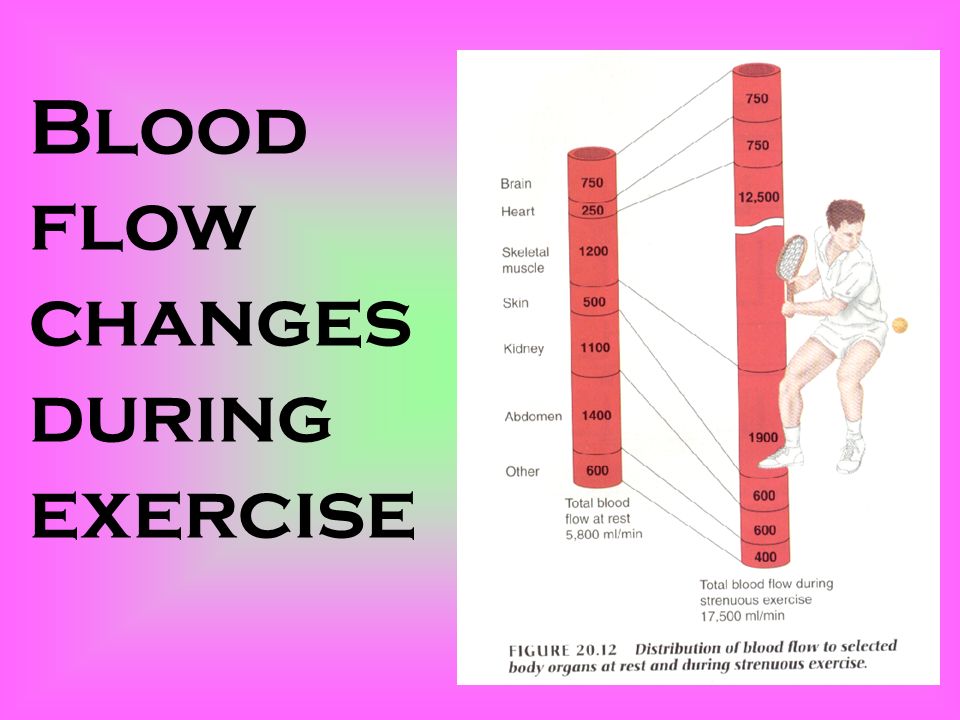 Redistribution of Blood During Exercise ppt video online download